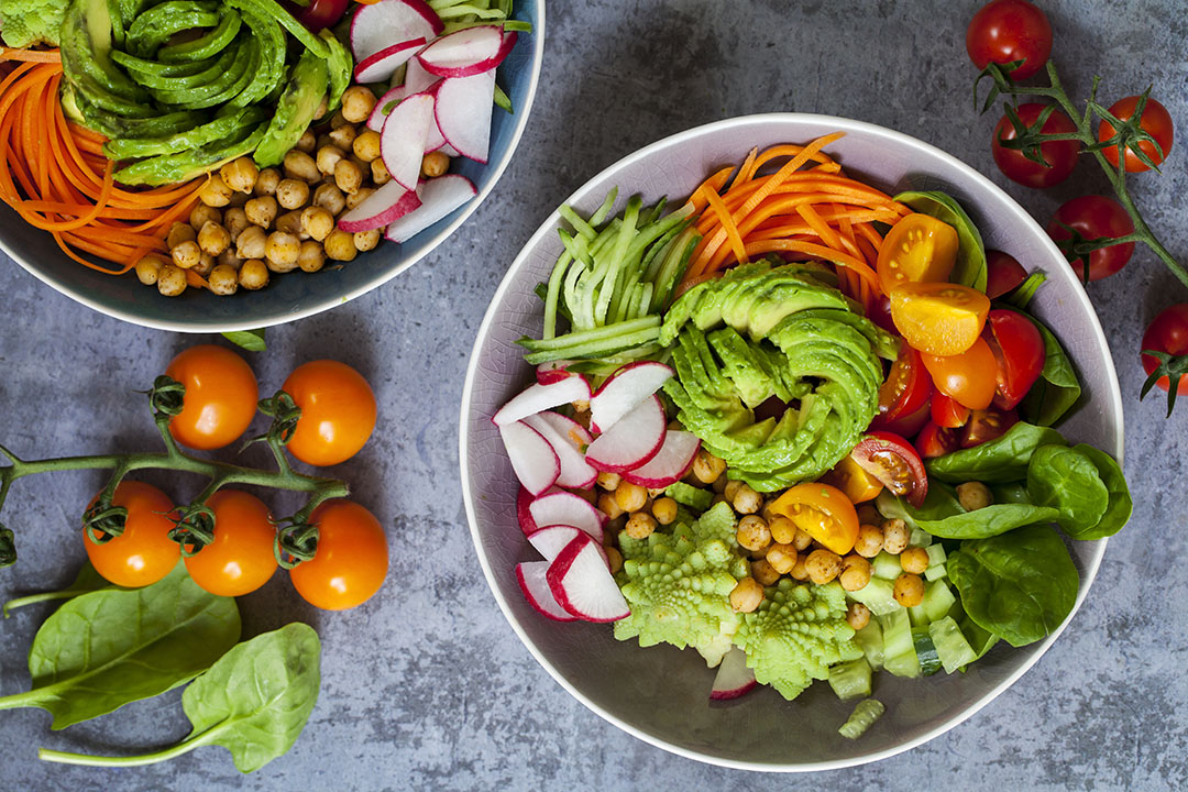 ALL ABOUT PLANT-BASED DIET