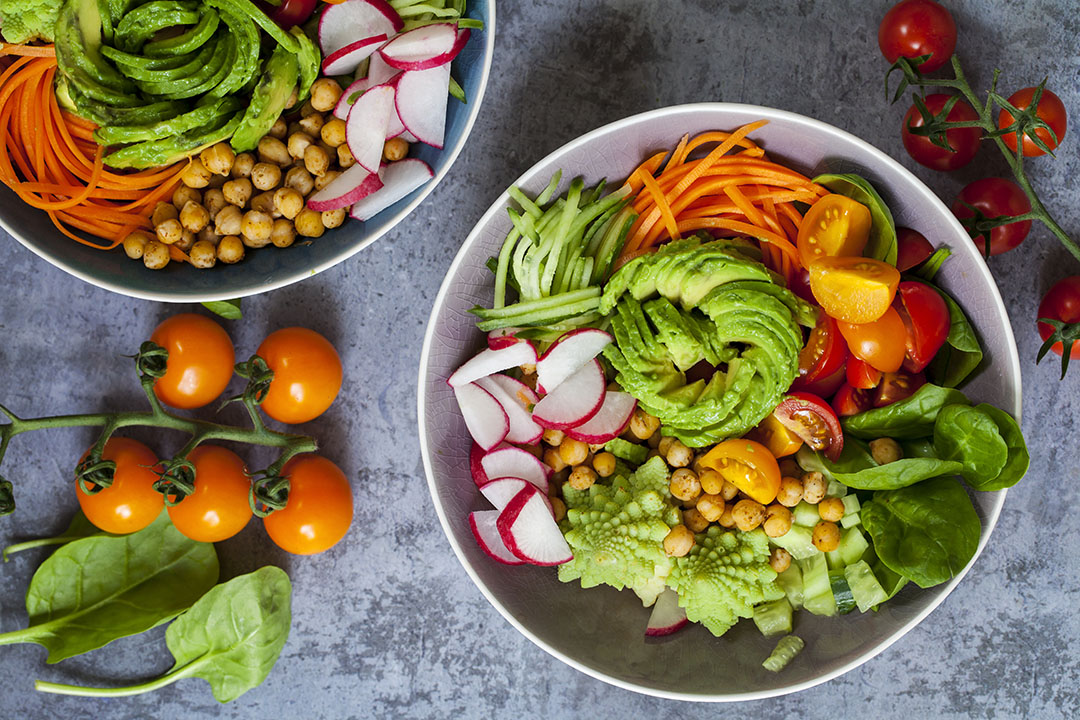 ALL ABOUT PLANTBASED DIET