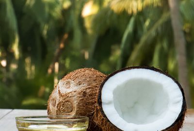 nutrition | zuzka light