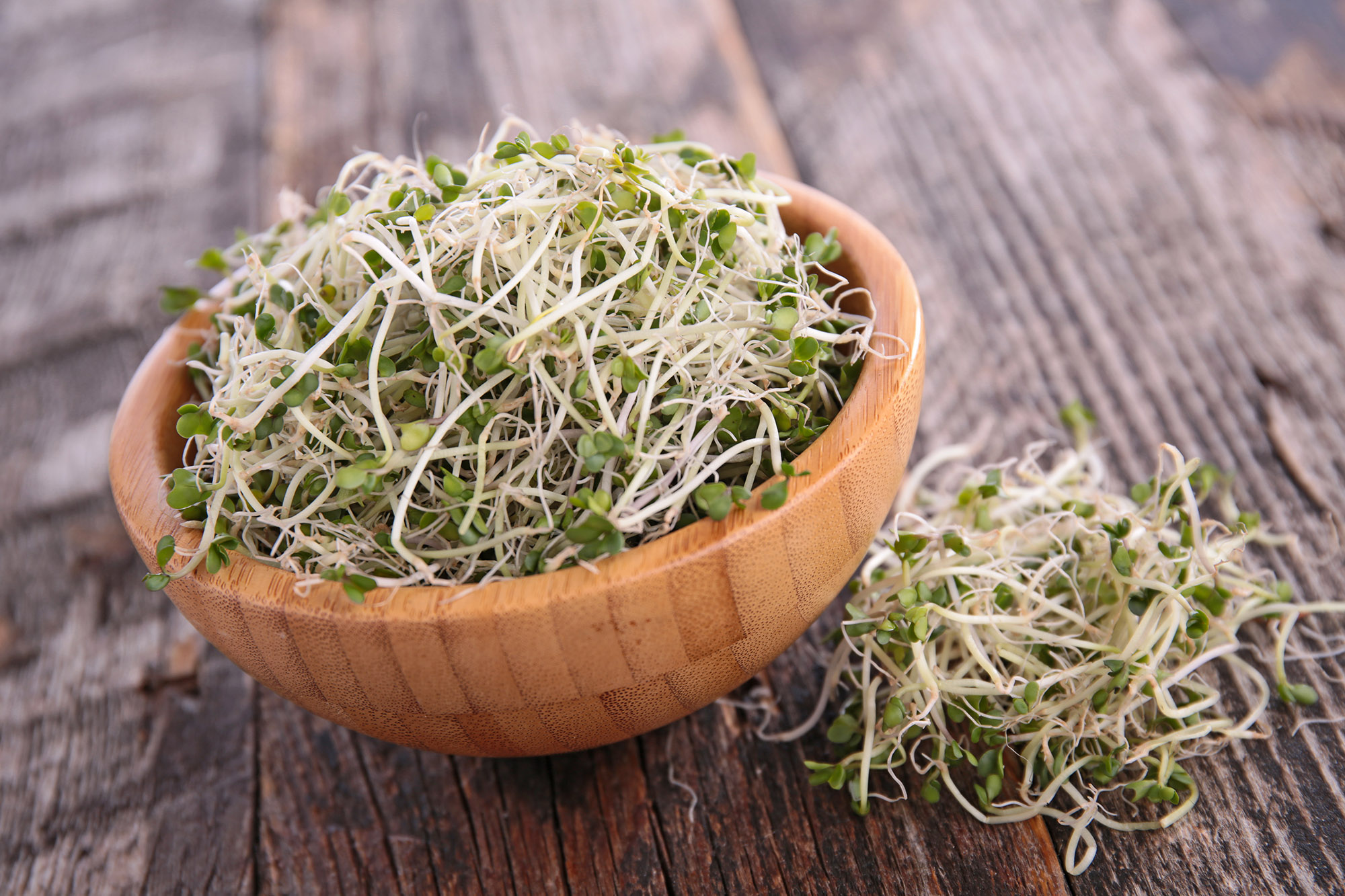 broccoli-sprouts-a-rising-superfood